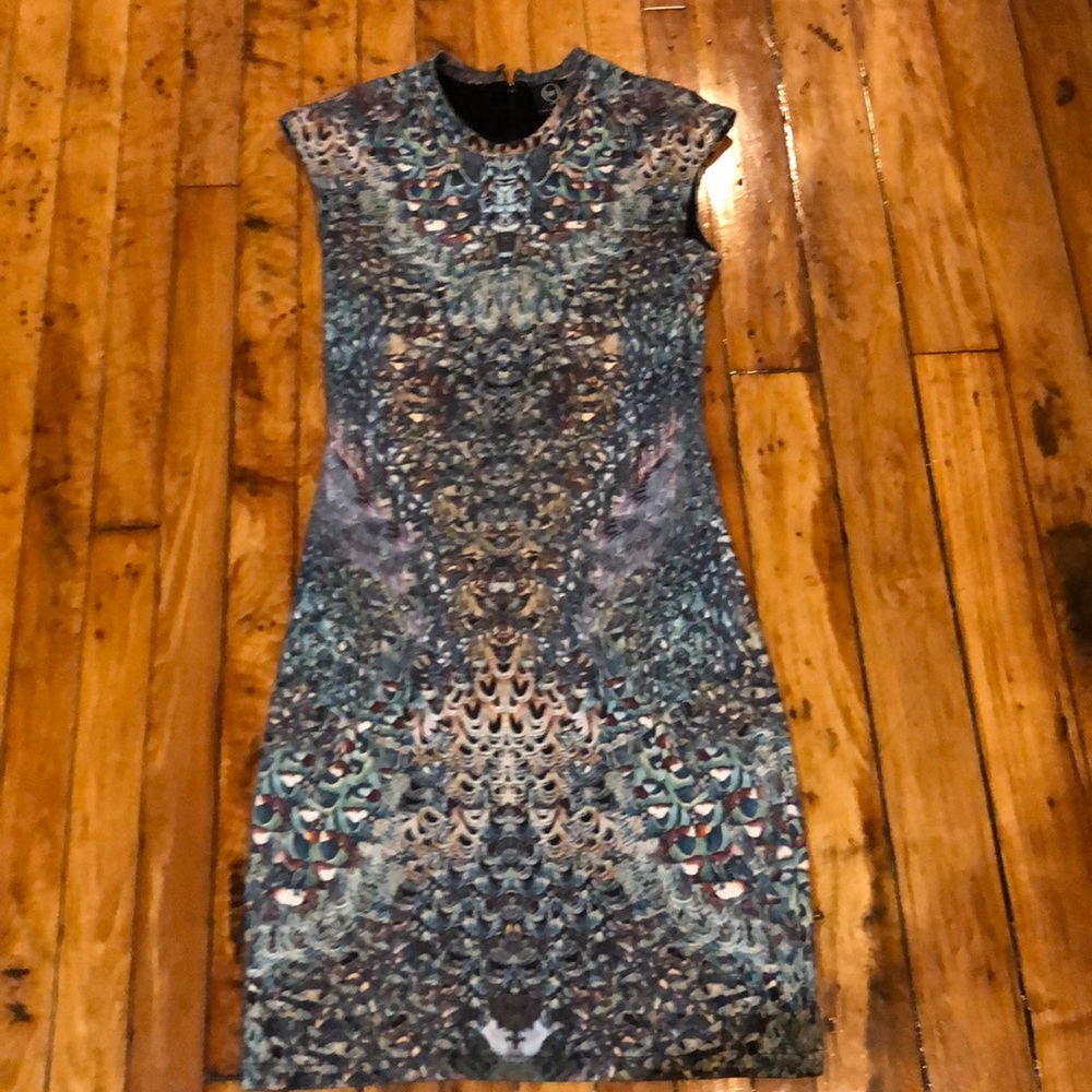 Alexander McQueen Dress